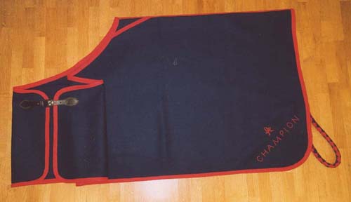 Navy rug